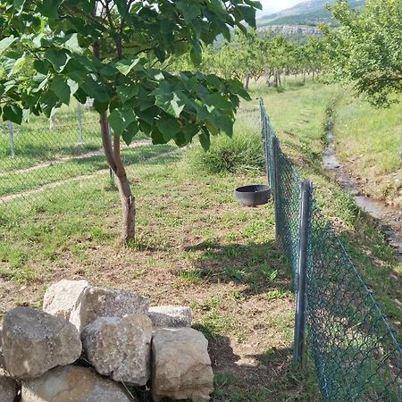 Stone House Vlasta Drniš 外观 照片