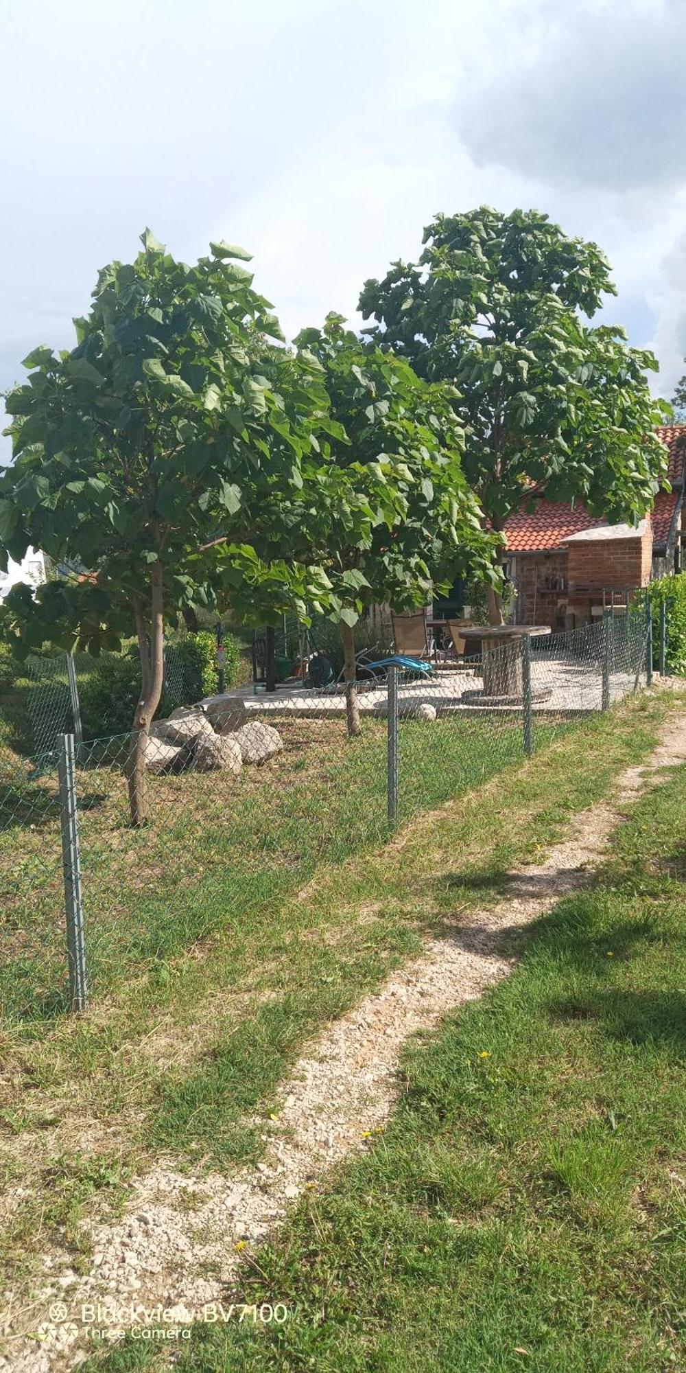 Stone House Vlasta Drniš 外观 照片